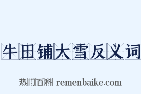 牛田铺大雪反义词是什么意思的图片